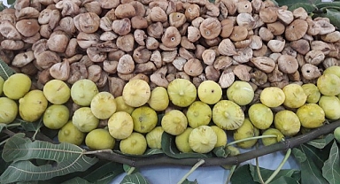 Türk kuru incir ihracatçılarından Avrupa Birliği’ne; “Kuru incirde ev ödevimizi yapıyoruz” mesajı