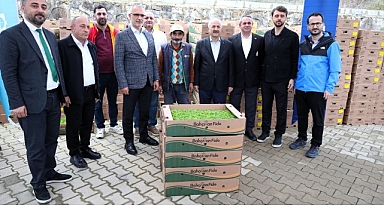Gebzeli çiftçiye 500 bin sebze fidesi
