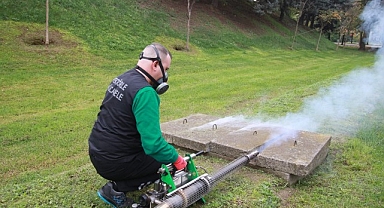 Sinekle mücadele sonbaharda da hız kesmiyor