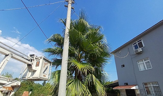 Kemer’de budama çalışmaları